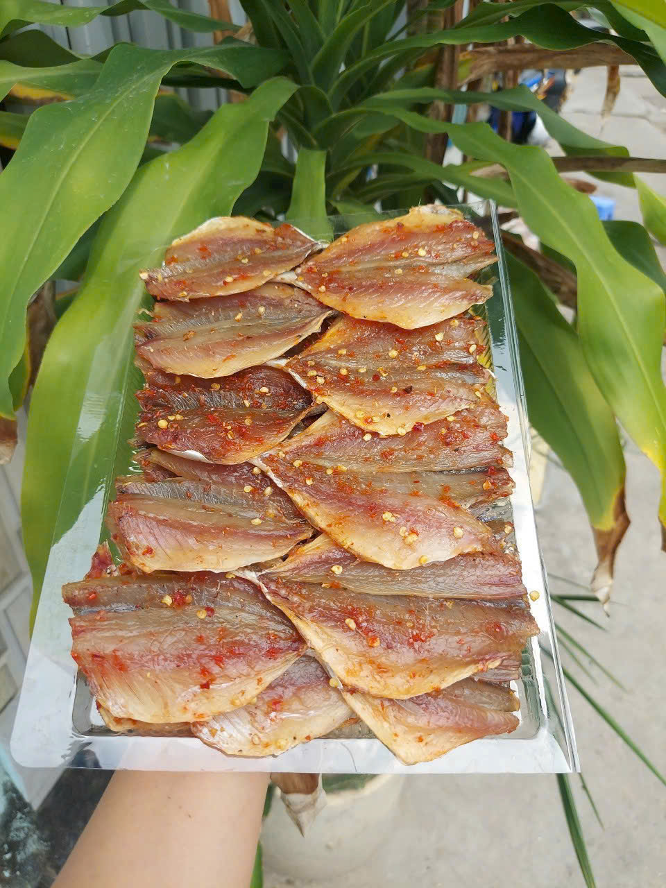 ✅ Cá Chỉ Vàng Một Nắng - 500g - Ảnh 4