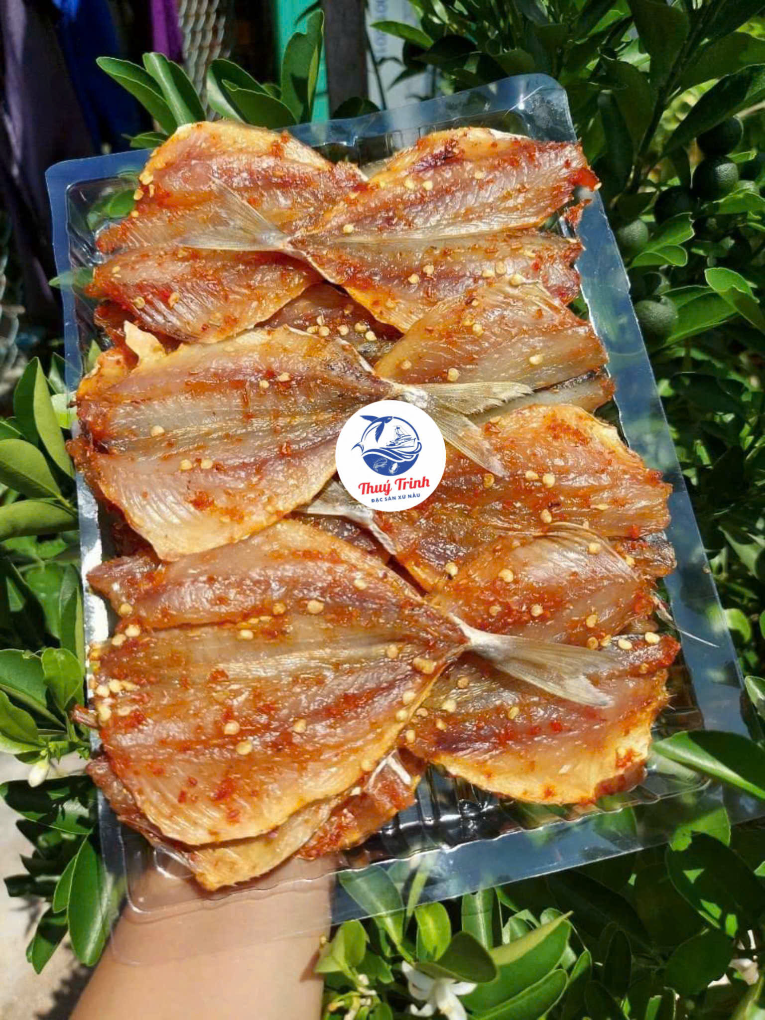 ✅ Cá Chỉ Vàng Một Nắng - 500g
