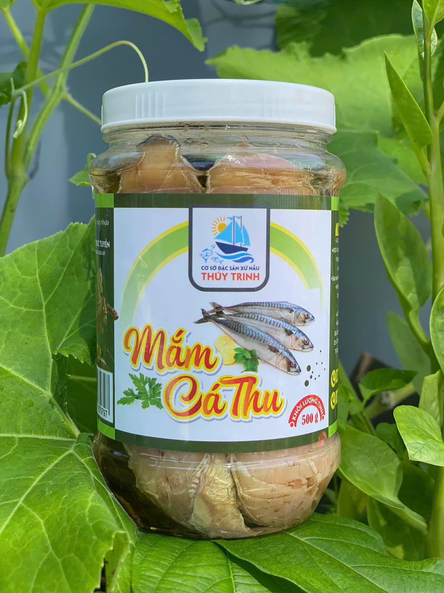 ✅ MẮM CÁ THU LÁT – 500G/HŨ